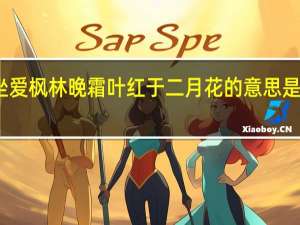 停车坐爱枫林晚霜叶红于二月花的意思是什么三年级（停车坐爱枫林晚霜叶红于二月花的意思）