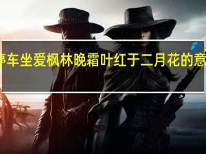 停车坐爱枫林晚霜叶红于二月花的意思是啥