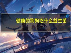 健康的狗狗吃什么益生菌