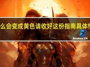 健康码为什么会变成黄色 请收好这份指南具体情况详细内容介绍