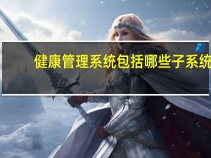健康管理系统包括哪些子系统