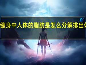 健身中人体的脂肪是怎么分解排出体外的？
