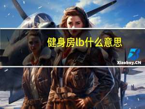 健身房lb什么意思