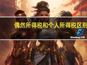 偶然所得税和个人所得税区别