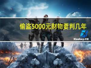 偷盗5000元财物要判几年（盗盗）