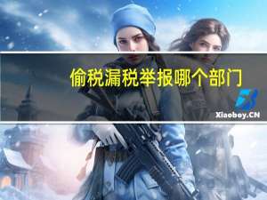 偷税漏税举报哪个部门