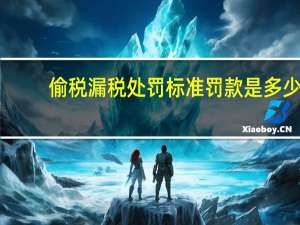 偷税漏税处罚标准罚款是多少