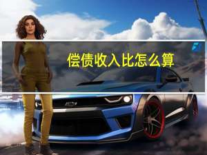 偿债收入比怎么算