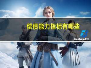 偿债能力指标有哪些