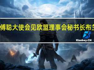 傅聪大使会见欧盟理事会秘书长布兰切特