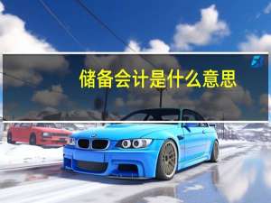 储备会计是什么意思