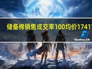 储备棉销售成交率100% 均价17417元/吨