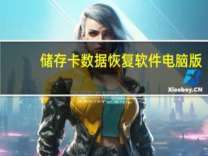储存卡数据恢复软件电脑版（储存卡数据恢复）