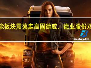 储能板块震荡走高 固德威、德业股份双双涨超5%