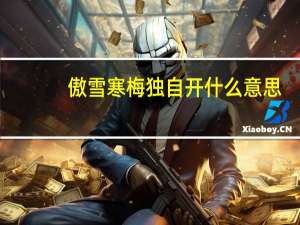 傲雪寒梅独自开什么意思