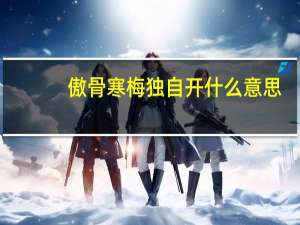 傲骨寒梅独自开什么意思