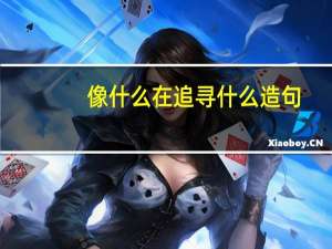 像什么在追寻什么造句