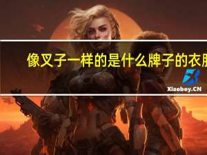 像叉子一样的是什么牌子的衣服