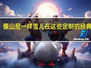 像山尼一样雪儿在这些定制的经典野马