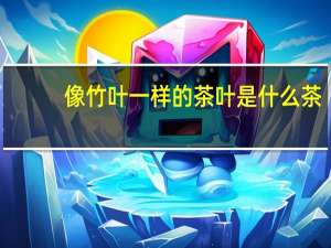 像竹叶一样的茶叶是什么茶