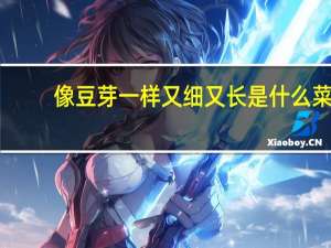 像豆芽一样又细又长是什么菜