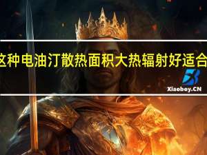 像这种电油汀散热面积大热辐射好适合长期开启