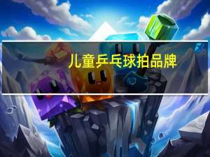 儿童乒乓球拍品牌