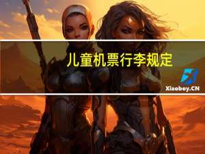 儿童机票行李规定
