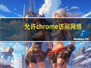 允许chrome访问网络