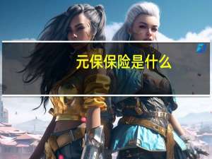 元保保险是什么
