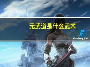 元武道是什么武术（元武道是什么）