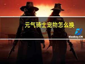 元气骑士宠物怎么换