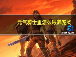 元气骑士里怎么喂养宠物