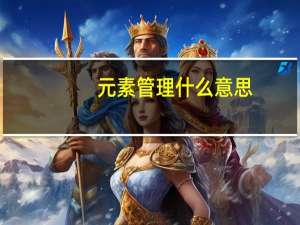 元素管理什么意思