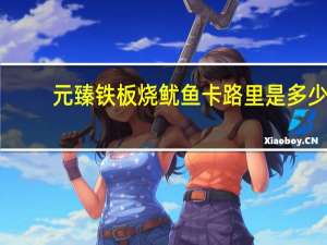 元臻 铁板烧鱿鱼卡路里是多少