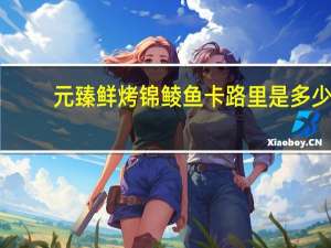 元臻 鲜烤锦鲮鱼卡路里是多少