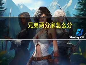 兄弟两分家怎么分