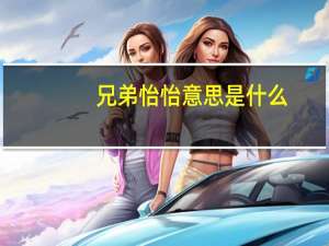 兄弟怡怡意思是什么
