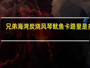 兄弟海湾 炭烧风琴鱿鱼卡路里是多少
