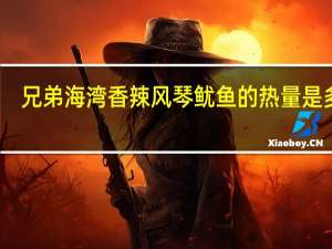 兄弟海湾 香辣风琴鱿鱼的热量是多少