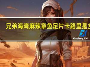 兄弟海湾 麻辣章鱼足片卡路里是多少