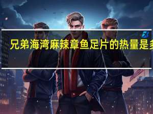 兄弟海湾 麻辣章鱼足片的热量是多少
