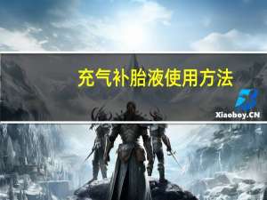 充气补胎液使用方法（纳维捷自动充气补胎液简介）