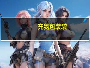 充氮包装袋（充氮包装简介）