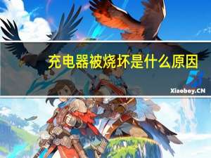 充电器被烧坏是什么原因