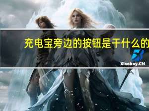 充电宝旁边的按钮是干什么的