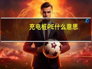 充电桩PE什么意思