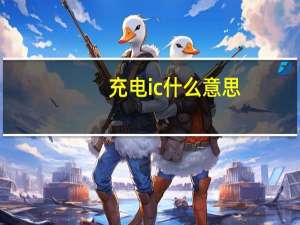 充电ic什么意思