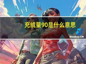 充绒量90%是什么意思