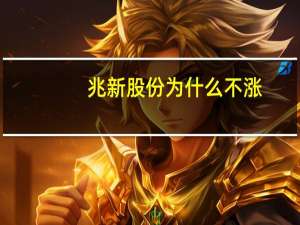 兆新股份为什么不涨